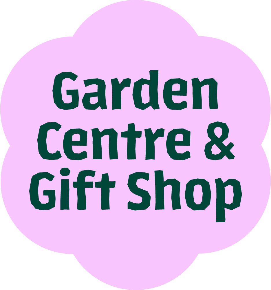https://dev-derwen.two05.theweborchard.com/wp-content/uploads/2022/03/Garden-Centre-Green-Text.png